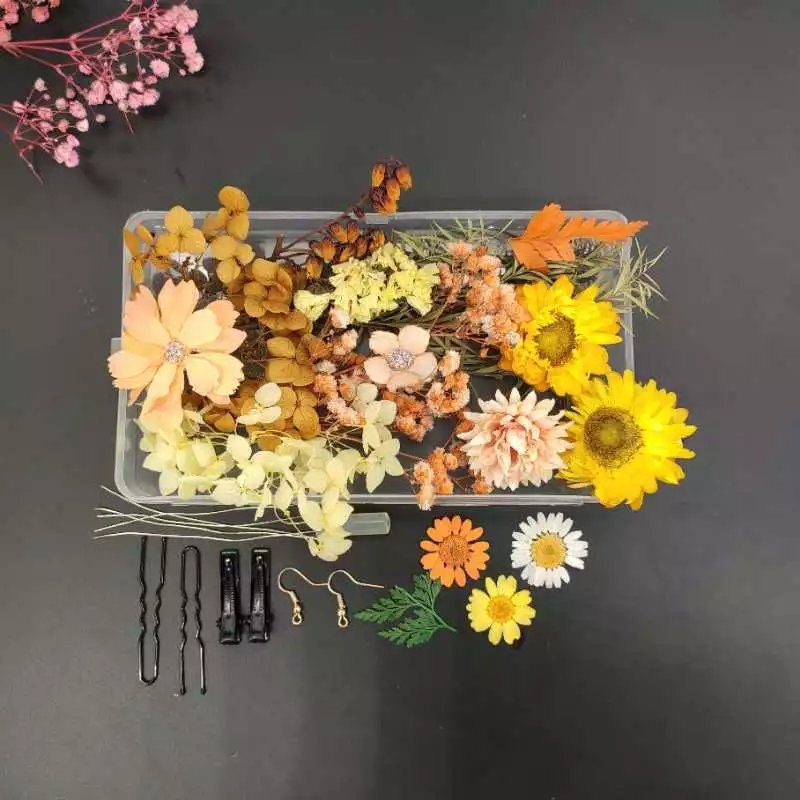 小众高货diy新娘头饰干花材料包饰品仙女花瓣妆容雏菊化妆林小宅