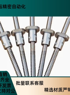 滚珠丝杆BSWE0802 1002 BTWP1204 1210 1510 1516 1605 1610