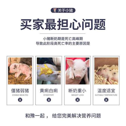 猪奶粉兽用小猪喝的代奶粉猪用初生小仔猪乳猪专用动物猪宝宝奶