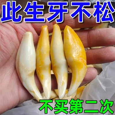 推荐牙松不用拔牙疼牙齿动药牙龈肿痛萎缩牙疼牙晃松动固齿喷剂神