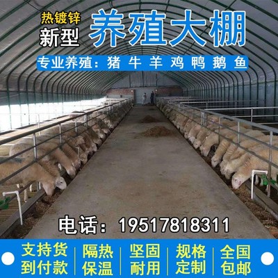 养殖大棚专用钢管骨架定制热镀锌椭圆管牛羊棚猪舍鹅兔养鸡场温棚