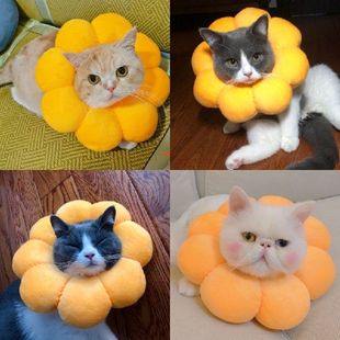 Collar Cat Circle 厂家Sunflower Pet Elizabeth Protective