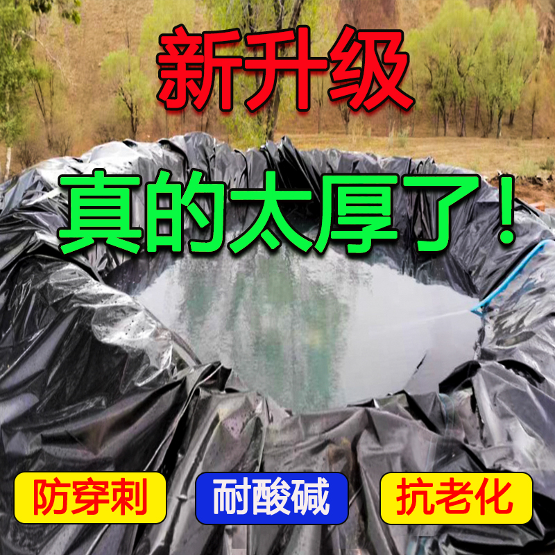 鱼塘防渗膜土工膜防水膜池塘防水布E鱼池塑料薄膜油布防水布帆布