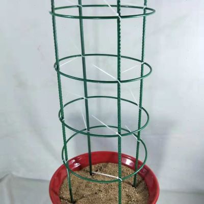 小众高货新款特价蟹爪兰花架支架固定爬藤架高60-70厘米蟹爪莲支