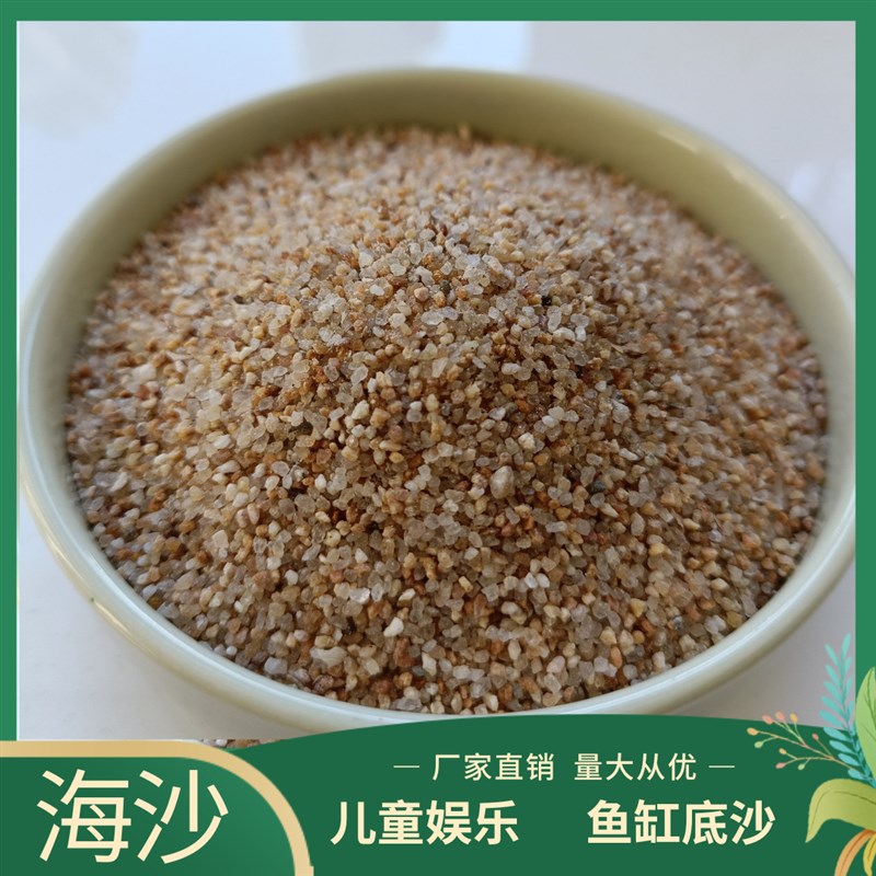 现货海沙人造沙滩儿童娱乐沙鱼缸底沙造景沙池专用跳远沙坑专用海