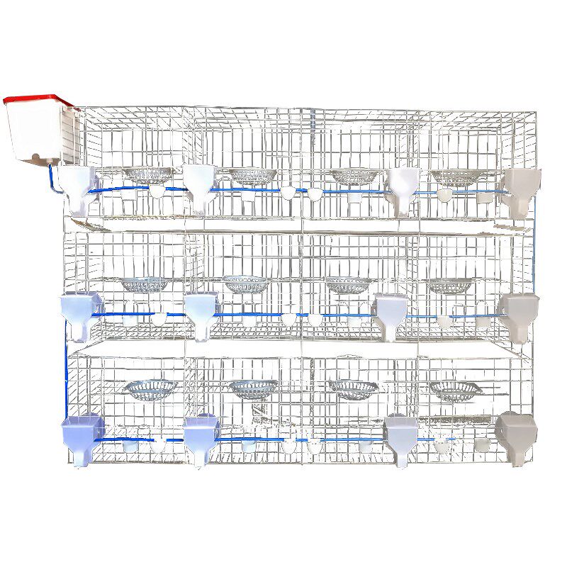 鸽子笼养殖1f2位16位用品用具配对笼大型繁殖鸽舍家用室外加粗大