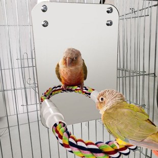 Parrot Pet Fun Mirror Toy Cockatiel Small Birds Parrots Bit