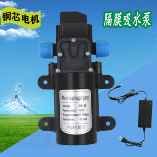 自动浇水自动增压水泵 微型隔膜直流12v水泵喷雾降温回流小型套装