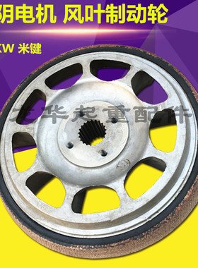 锥形转子电机风叶制动轮ZD51-6 13KW 电动葫芦电机刹车