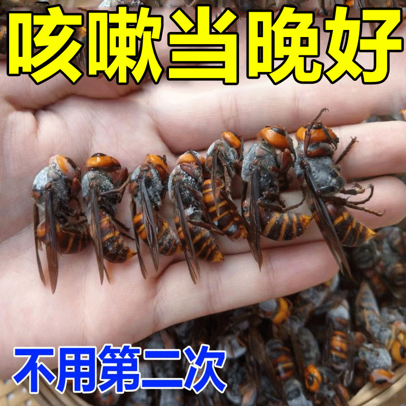热销【一贴止咳】咳喘贴大人儿童干咳过敏性咳嗽化痰贴治细菌性咳