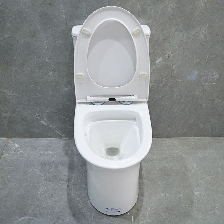青岛黄岛白鸽直排虹吸坐便器马桶家用卫生间陶瓷节.水防臭卫浴
