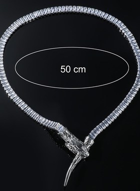 欧美时尚铜镶锆石蛇形项链 潮人男D女士ins风格个性炫酷服饰项饰