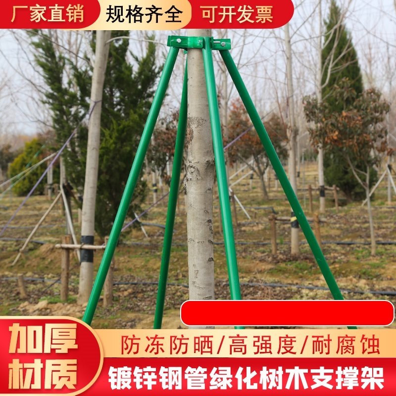 支伸缩杆园林防风绿化架杆防倒树木支撑架三脚架扎带套杯固定器稳
