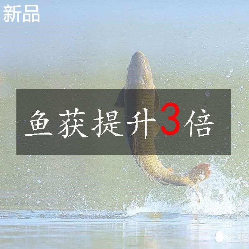 渔具窝料野钓鲫鱼鲤鱼水库打窝底窝料料颗粒药酒米垂钓 新品,户外/登山/野营/旅行用品,台钓饵,淘宝优惠券,粉丝福利购,淘宝优惠卷