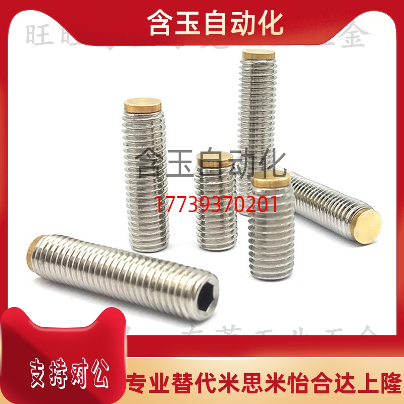 TDA31-M6/M8-L8/L10/L12/L16/L20/L25/L30/L40/L50挡块止动螺钉丝