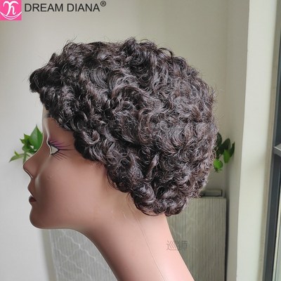 DreamDiana Malaysian Hair Wig Remy Short Natural Curly Gluel