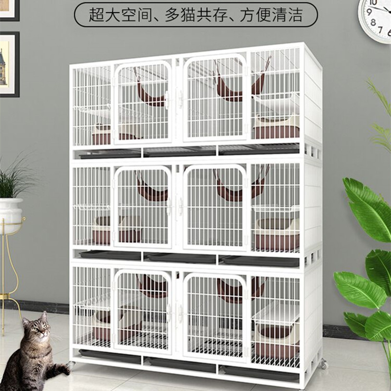 速发繁殖猫笼三层寄养信鸽展示柜繁育宠物店组合自由空间饲养笼猫