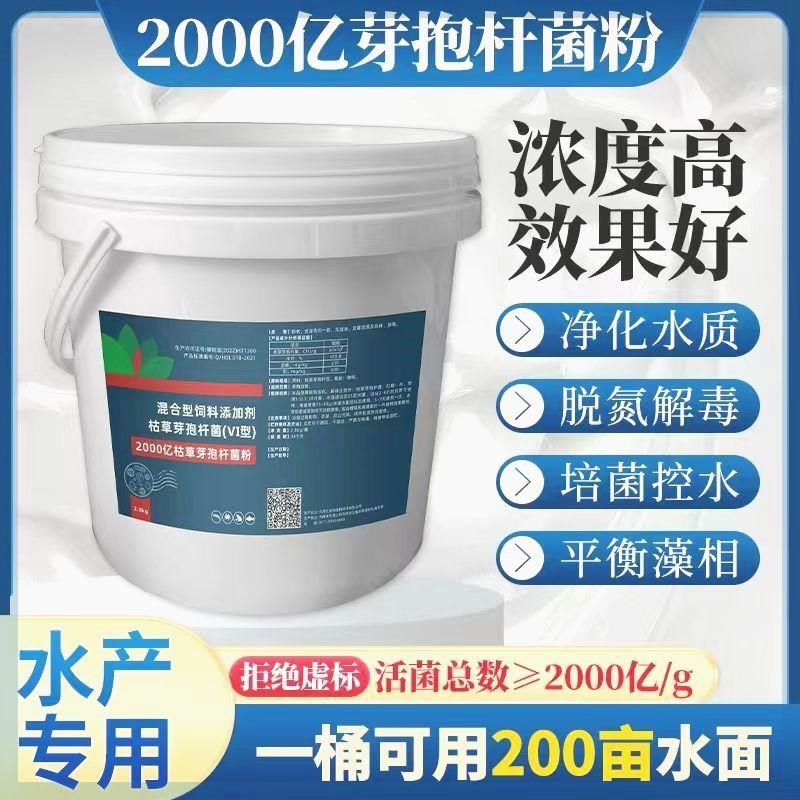 2000亿枯草芽孢杆菌水产养殖鱼虾蟹专用净化水质降解氨氮亚盐除藻