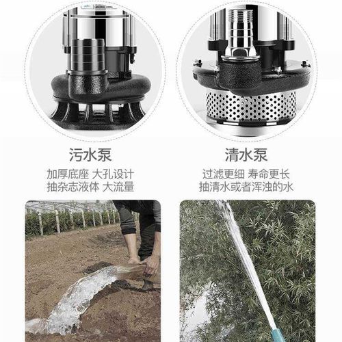 1潜高水泵家用220V锈钢小型抽水机农用灌溉排抽水不污泵污水泵扬