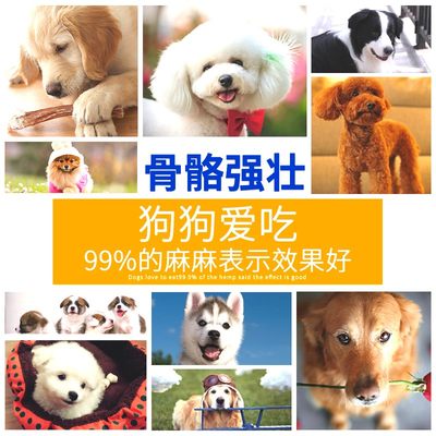 靓贝亮毛型成犬狗粮5Kg阿拉斯加泰迪狗金毛比熊美毛大袋狗粮10斤