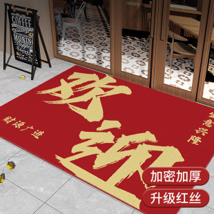欢迎光临进门地垫定制高级感商铺脚垫 商用入户丝圈门垫2024新款
