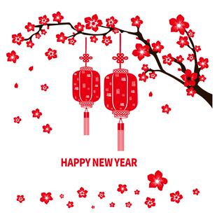 元旦贴纸过年装饰品贴纸玻璃橱窗y墙商场灯笼.春节店铺贴画新年布