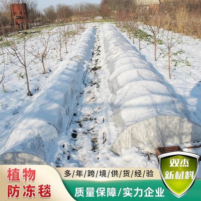 植物防冻毯无纺布防寒布植物防冻盖毯园艺林果蔬挡雪盖布御寒毯