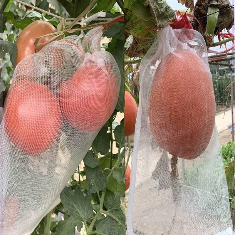 冬瓜网兜苦瓜丝瓜套袋专用袋防虫套袋防虫袋加长瓜果防虫网袋网纱