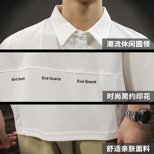 夏季 T2024潮流新款 高级感POtLO衫 男宽松大码 潮牌翻领T ins上衣短袖