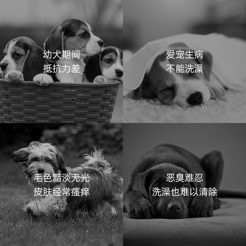 现货宠物幼猫免洗泡沫400ml狗狗香波除臭干洗粉兔子免洗喷雾