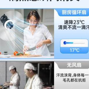 壁挂式 小风扇厨房厕所卫生间免打孔车载吸盘墙上电扇浴室宿舍静音