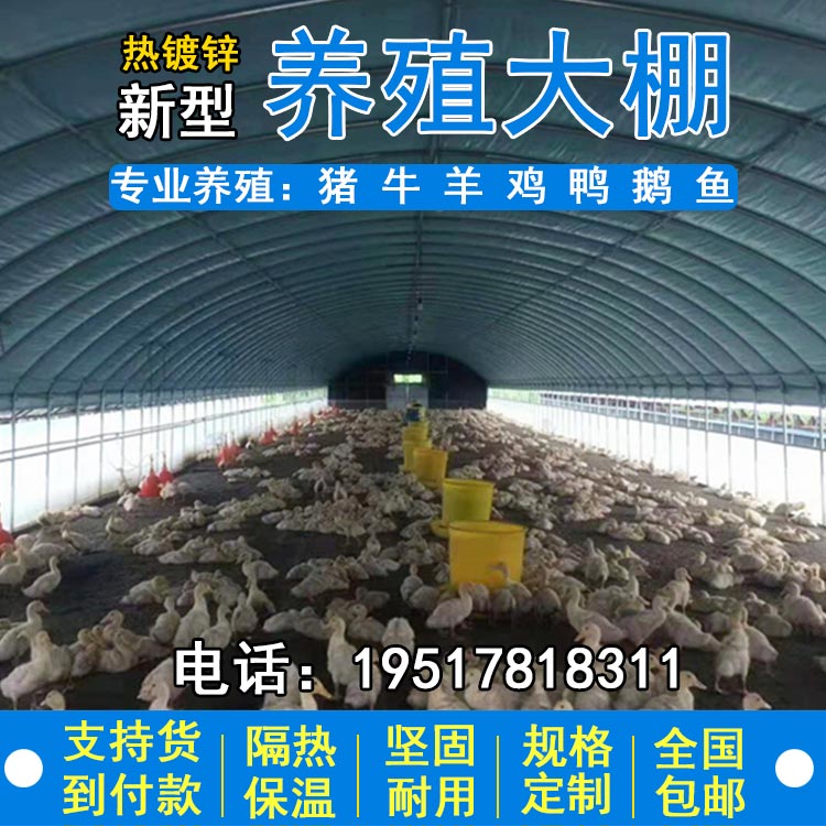 养殖大棚钢管骨架全套椭圆管牛棚羊圈猪舍鹅兔养鸡场连动温室大棚