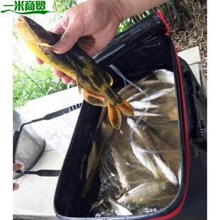 装活鱼虾袋大号水箱带增氧泵活鱼箱活鱼桶鱼篓放生桶活鱼护桶钓鱼