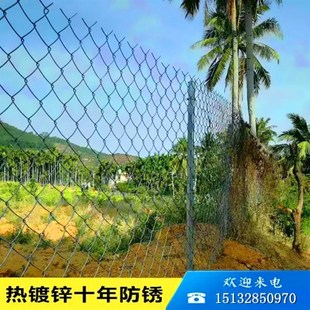 护栏网勾钢丝网猪销防护养殖花户外果园镀锌铁丝网直网围栏p羊牛