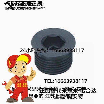 MSWZ6/8/10/12/14/16/18/20/22/24/25/26/27/28/30凸缘型喉塞螺塞