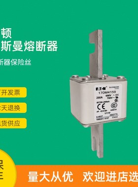 全新快速熔断器保险170M4174 170M4176 170M4177 170M4178