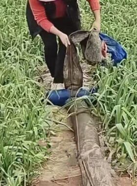 果园加厚灌溉水带抽水机农用喷灌管子防爆水专用软管浇地水管农村