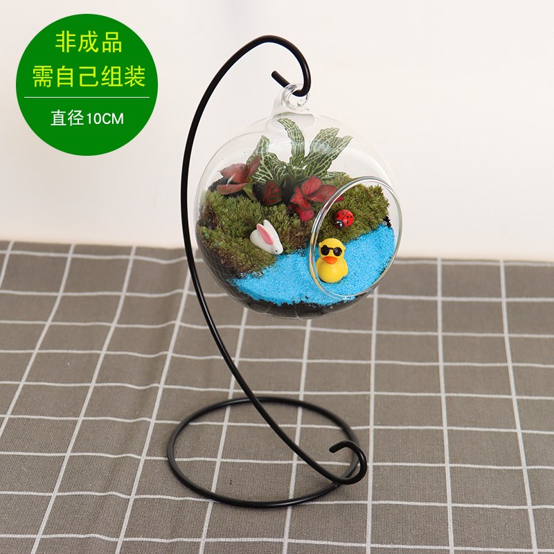 暖场多肉苔藓微景观生态玻璃瓶子创意绿植DIY材R料包礼品活动套严