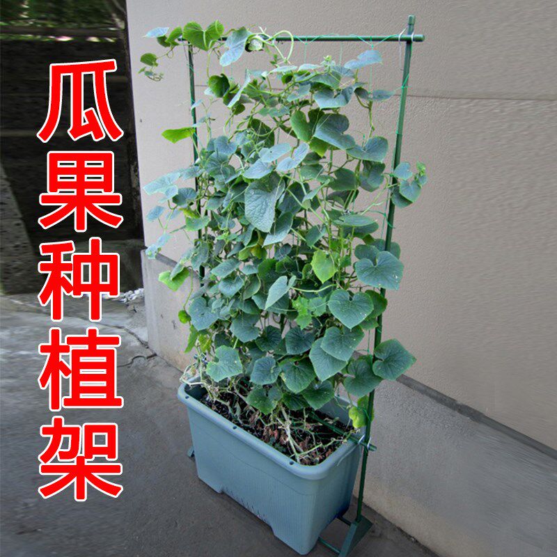 种菜架花盆花架西红柿攀爬瓜果爬藤植物豆角支架支撑杆园艺花盆架