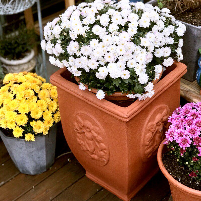 日本进口红陶花盆粗陶透气陶瓷厂家直销大号园艺花盆天使图景观陶