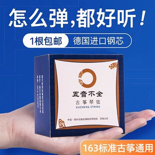 五音不全古筝琴弦A型B型初学专业演奏级琴弦163CM标准通用古筝弦