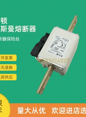 全新快速熔断器保险170M4519 170M4531 170M4532 170M4533