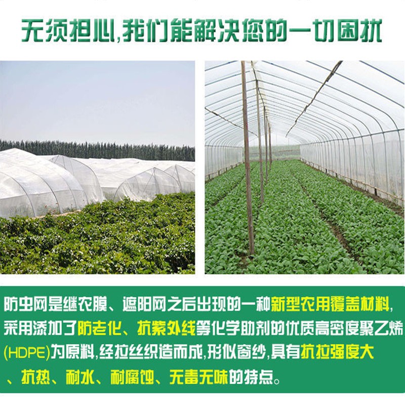 现货养猪场猪圈栏养殖场专用防蚊网大棚隐形加厚防虫网抗老化纱窗