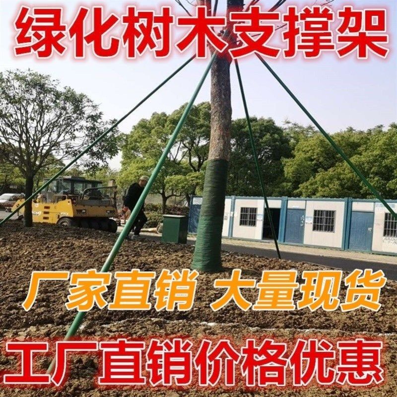 园林金属铁木架杨木杉p木园艺树木支架套件镀锌钢管苗木套杯现货