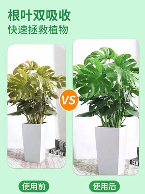 花草水培营养液植物通用型养花专用肥料花卉绿植室内花肥家用盆栽