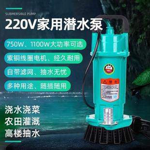 工厂销潜水e泵家用220v浇水泵交流小型高扬程抽水机农用灌溉排污