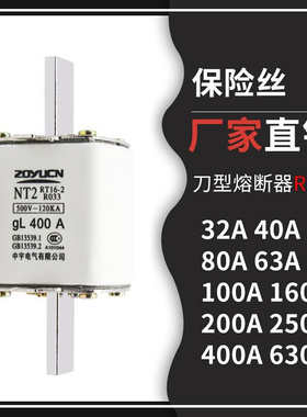 熔断器熔芯保险丝NT00 RT16GL 63A 80A 160A陶瓷熔断体刀形触头*