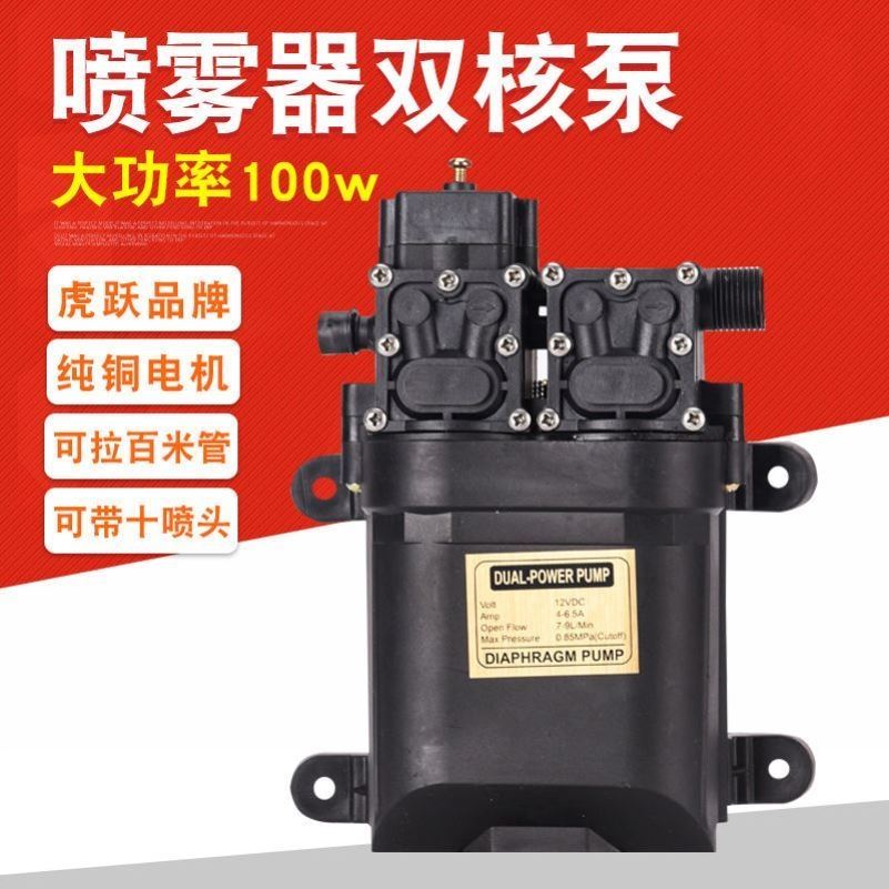热销12V伏农用电动喷雾器水泵隔膜微型高压自吸洗车水钻打药机泵