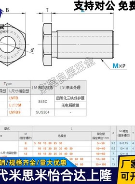不锈钢调整螺栓固定调整块LVBS/LVFBS8/10/12-5/15/20/25/30/40