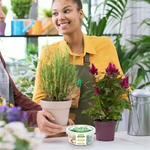 小众高货Indoor Plant Fertilizer Nutrient-Rich Plant Food Hou